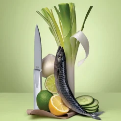 L'Econome Starck
